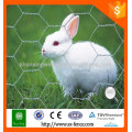 Verzinktes oder pvc beschichtetes Hühnchengewebe / Kaninchennetz / Sechskantmaschendraht